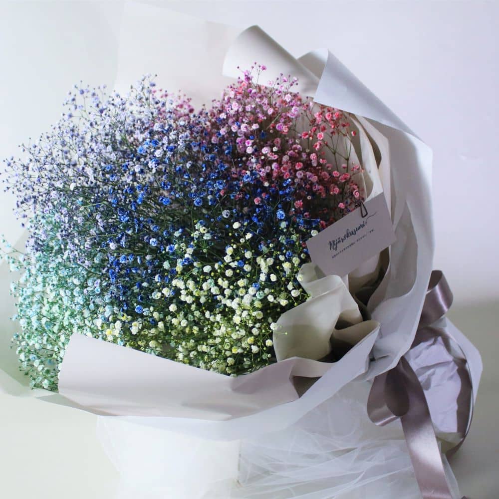 思わずキュンしちゃう虹色のカスミソウ花束 レビュー一覧 プロポーズと花ギフト ル ループ le loop 思わずキュンしちゃう虹色のカスミソウ花束 レビュー一覧 プロポーズと花ギフト ル ループ le loop